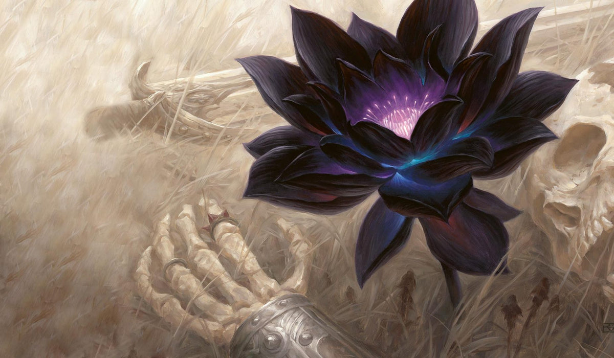 Magic The Gathering - Guida ai Formati