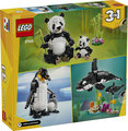 31165 - LEGO CREATOR - ANIMALI SELVATICI: FAMIGLIA DI PANDA - Immagine 2