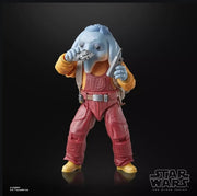 STAR WARS - BLACK SERIES - SKELETON CREW - NEEL (AD ATTIN) - ACTION FIGURE 15CM - Immagine 2