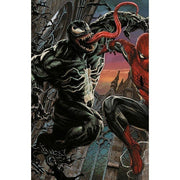 AMAZING SPIDER-MAN 17 - SPIDER-MAN 894 - VARIANT AMAZING VISIONS DI LEE BERMEJO