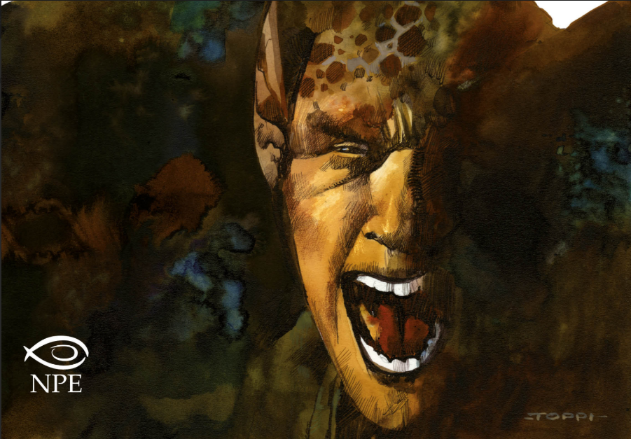 KOLLWITZ 1742 - Immagine 2