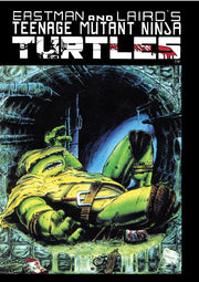 TEENAGE MUTANT NINJA TURTLES (001) 4