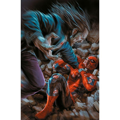 AMAZING SPIDER-MAN DIVISI 3 - SPIDER-MAN 897 - VARIANT AMAZING VISIONS DI LEE BERMEJO
