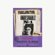 HPC07 - MINISTRY OF MAGIC: PROCLAMATIONS AND WANTED POSTERS - POSTCARD