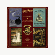 HPM02 - HARRY POTTER - WIZARDING BOOKS HOGWARTS BOOK COVERS - MAGNET