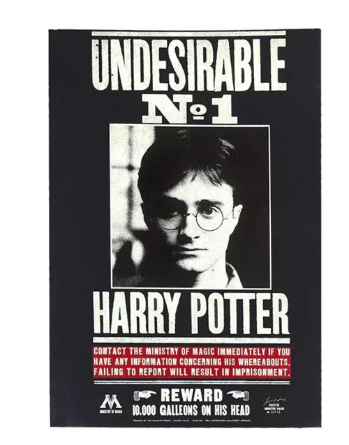 MAP5155 - HARRY POTTER - NOTEBOOK UNDESIRABLE N.1
