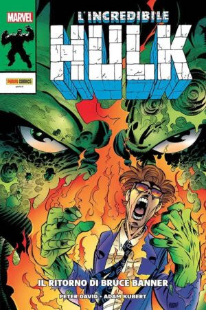 L'INCREDIBILE HULK DI PETER DAVID 12 - IL RITORNO DI BRUCE BANNER