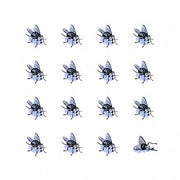 UN SASSOLINO CON UN CUORE DI POMODORO