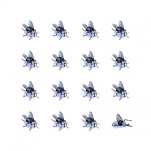 UN SASSOLINO CON UN CUORE DI POMODORO