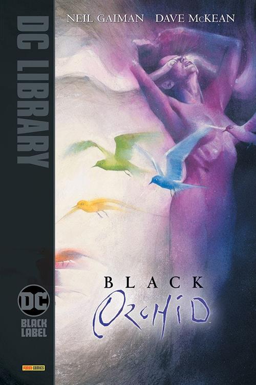 BLACK ORCHID