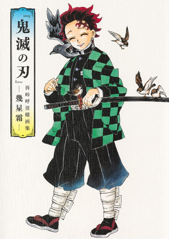 DEMON SLAYER: KIMETSU NO YAIBA - NEL CORSO DEL TEMPO - ART BOOK