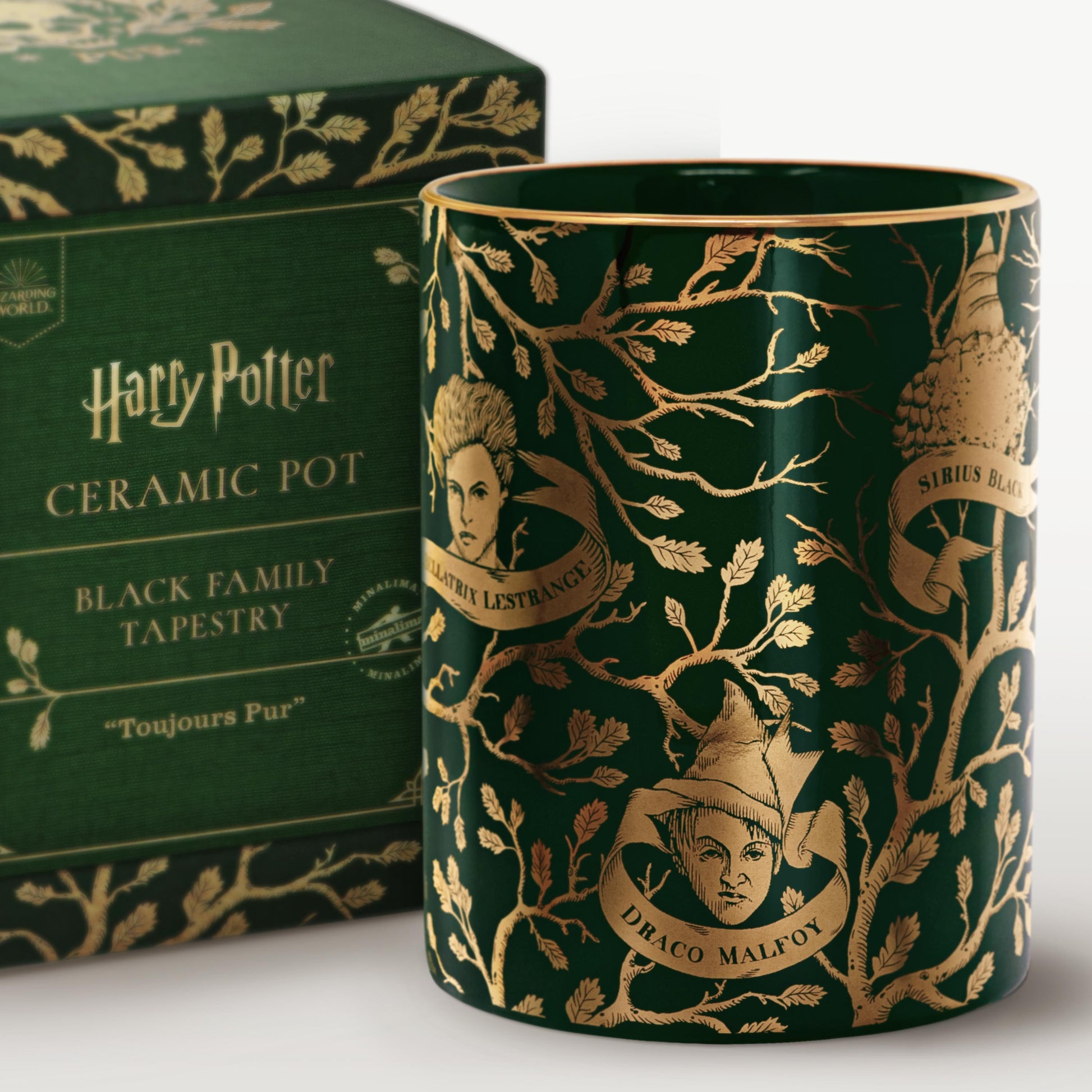 HPPOT01 - HARRY POTTER - BLACK FAMILY TAPESTRY: "TOUJOURS PUR" CERAMIC POT