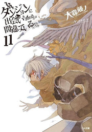 DANMACHI NOVEL 11 - IS IT WRONG TO PICK UP GIRLS IN A DUNGEON?