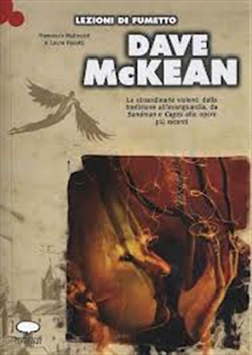LEZIONI DI FUMETTO DAVE MCKEAN