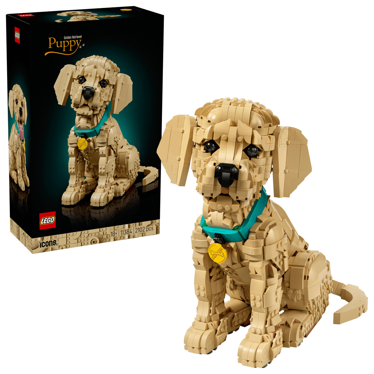 11384 - ICONS - CUCCIOLO DI GOLDEN RETRIVER CON COLLARE E MAGLIETTA