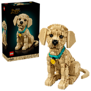 11384 - ICONS - CUCCIOLO DI GOLDEN RETRIVER CON COLLARE E MAGLIETTA
