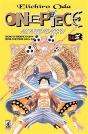 ONE PIECE 30