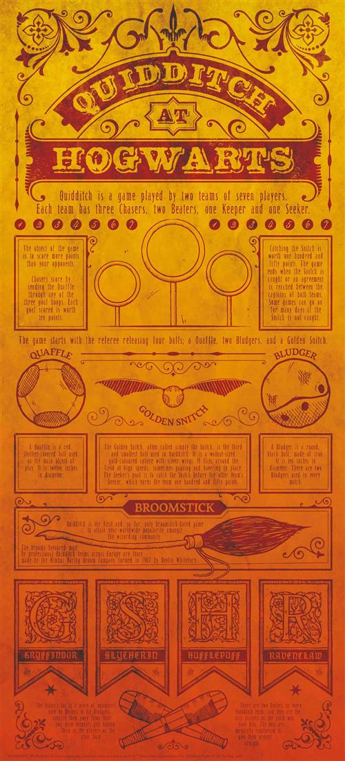 THG-HP27 - HARRY POTTER - WALL ART - QUIDDITCH RULES