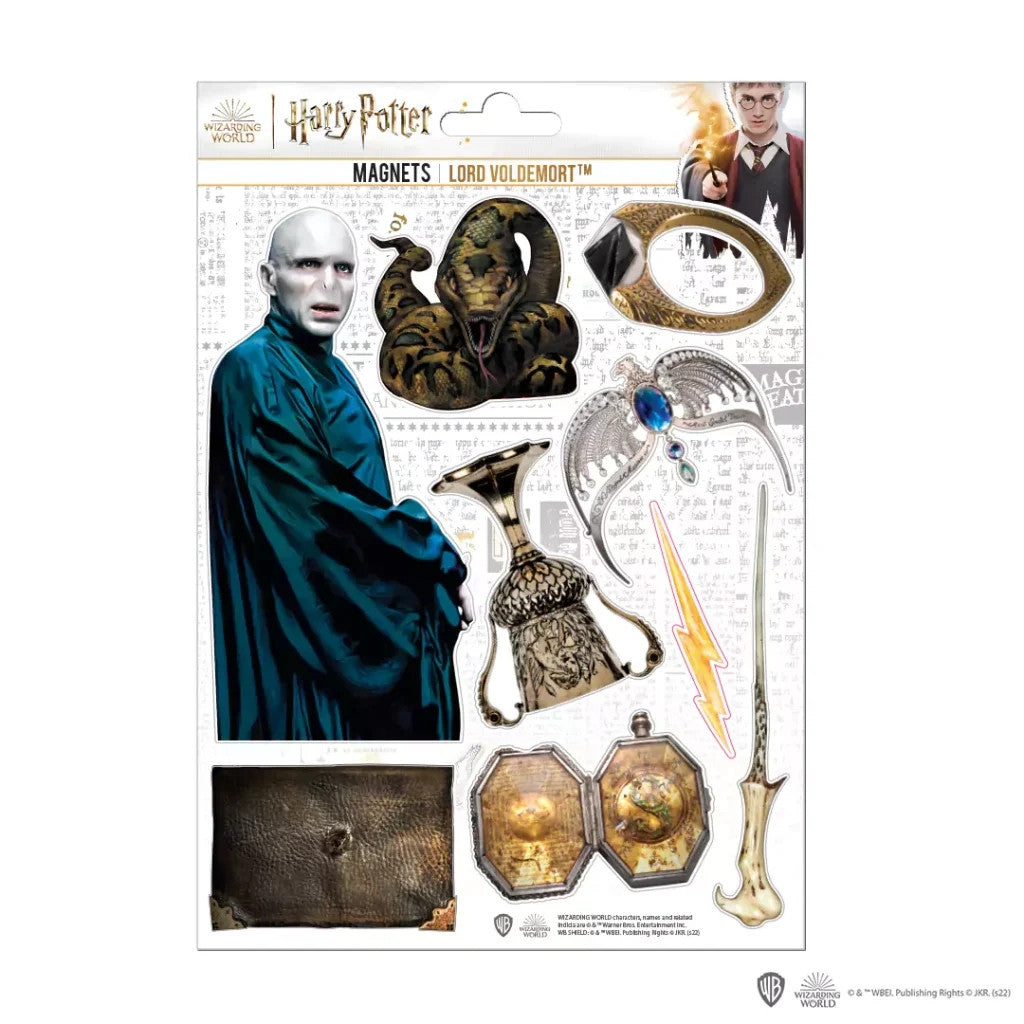 MAP5028 - HARRY POTTER - SET MAGNETI IN SPUGNA VOLDEMORT