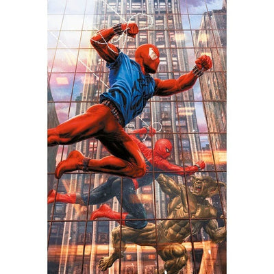 AMAZING SPIDER-MAN 18 - SPIDER-MAN 896 - VARIANT AMAZING VISIONS DI LEE BERMEJO