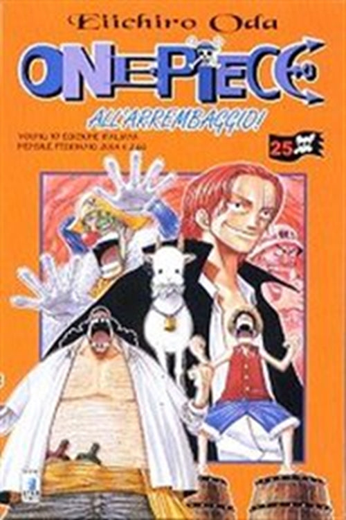 ONE PIECE 25