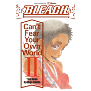 BLEACH CAN'T FEAR YOUR OWN WORLD 2 - ROMANZO - PRIMA RISTAMPA