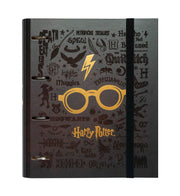 CAT0069 - HARRY POTTER - RACCOGLITORE 4 ANELLI FORATO PREMIUM