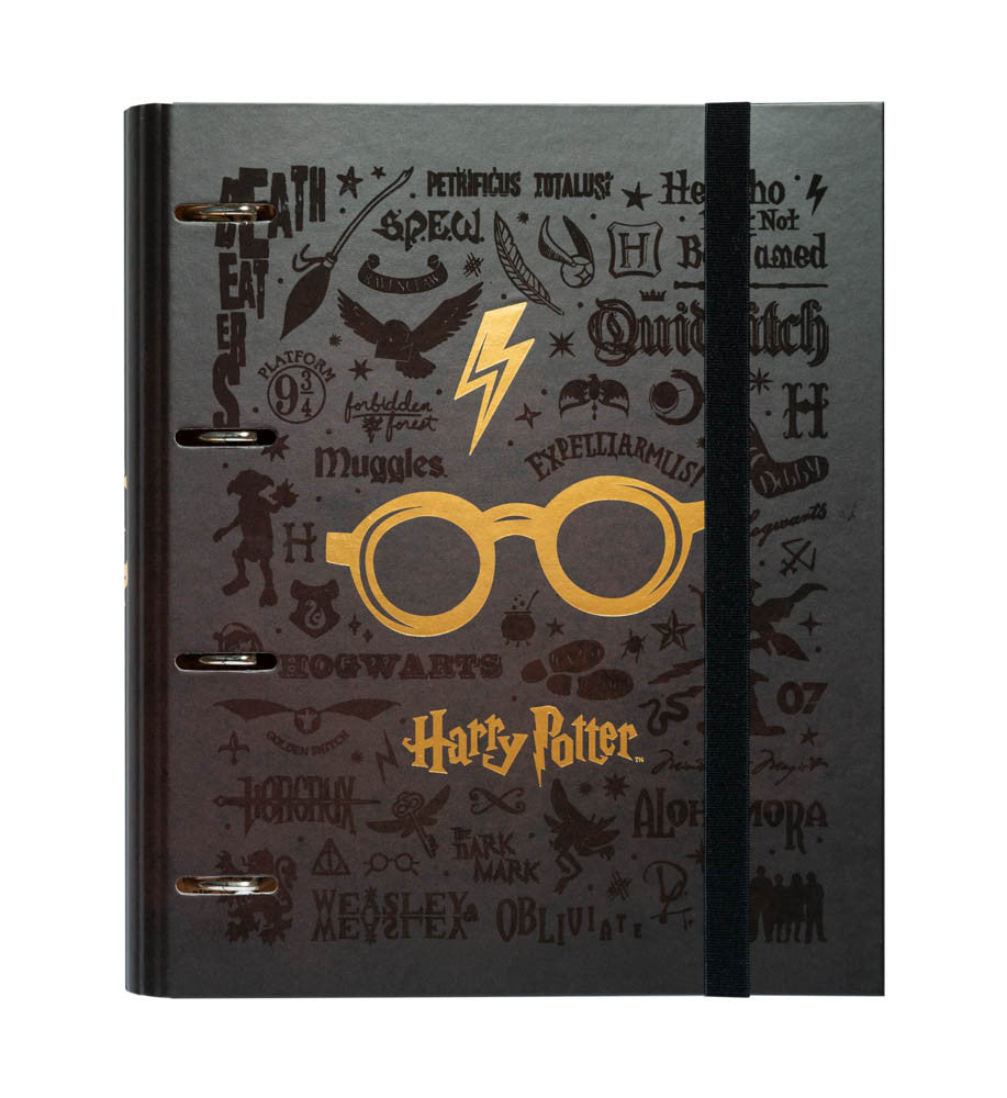 CAT0069 - HARRY POTTER - RACCOGLITORE 4 ANELLI FORATO PREMIUM