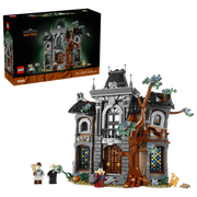 11383 - ICONS - MANIERO DELLA SINDACA