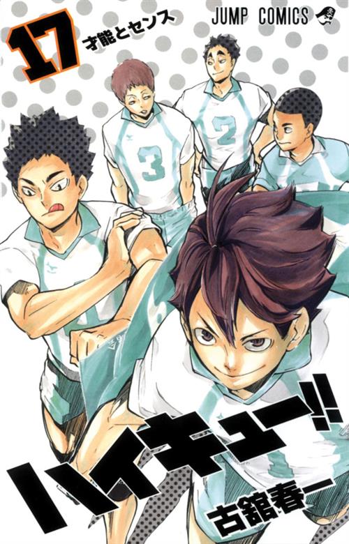 HAIKYU!! 17