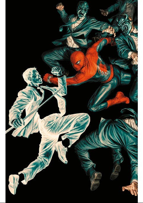 AMAZING SPIDER-MAN 20 - SPIDER-MAN 899 - VARIANT AMAZING VISIONS DI LEE BERMEJO 18