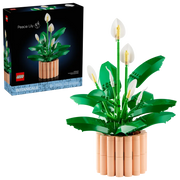 11504 - BOTANICALS - SPATIFILLO