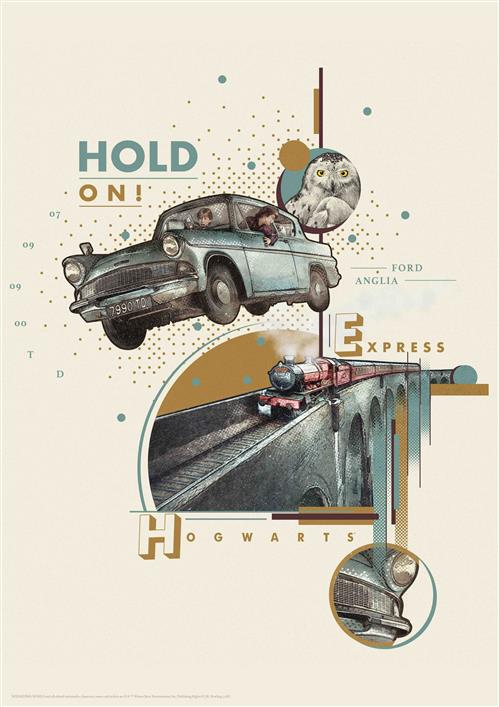 THG-HP19 - HARRY POTTER - WALL ART - WEASLY'S CAR