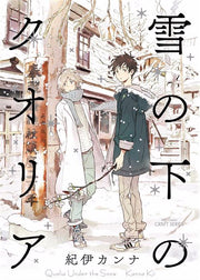 QUALIA UNDER THE SNOW