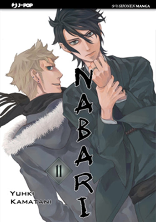 NABARI 11
