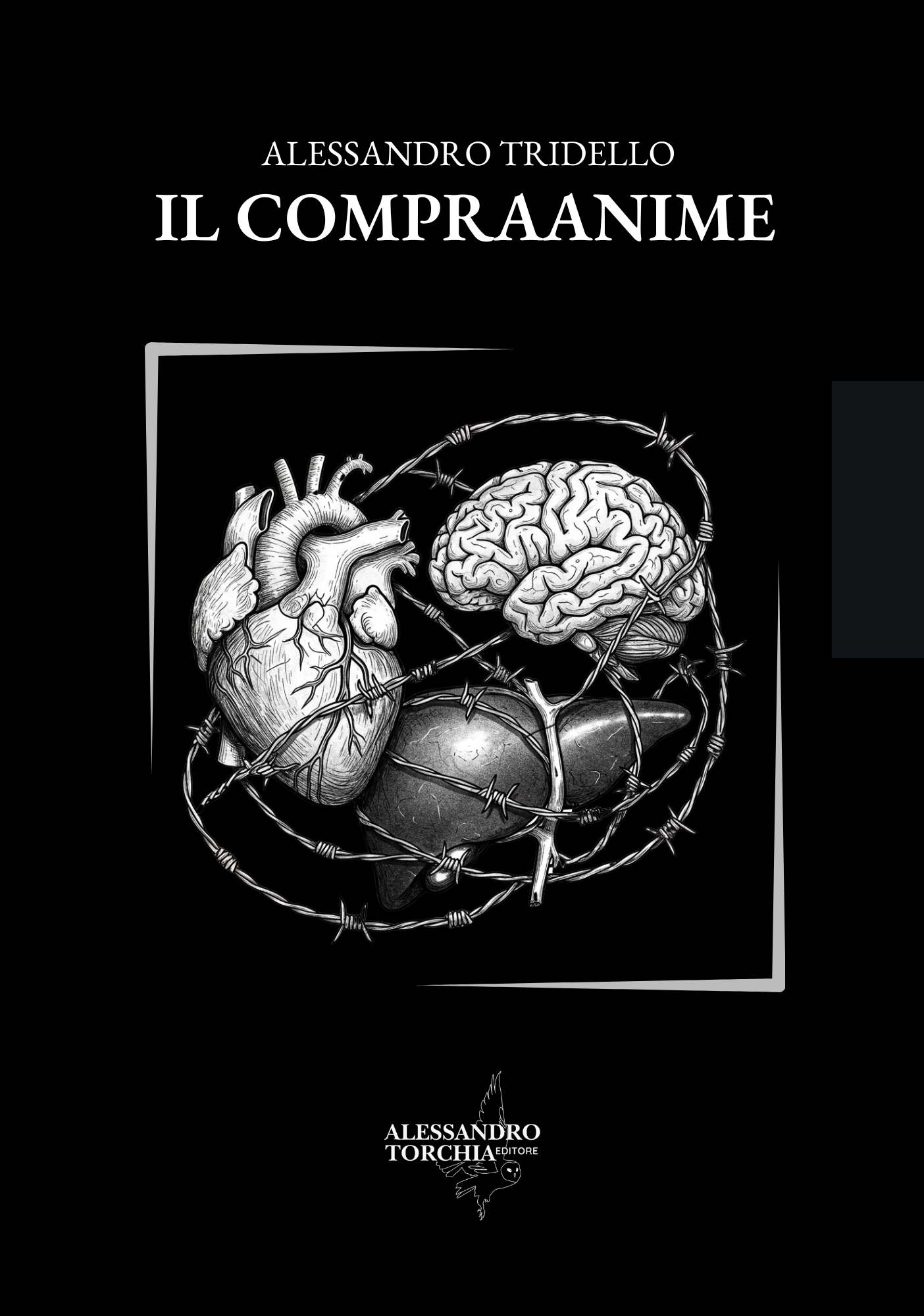 IL COMPRAANIME