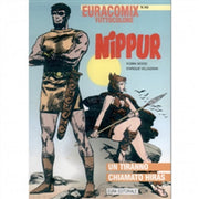 EURACOMIX 165 - NIPPUR 24