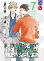IL BUIO OLTRE LA FINESTRA TRIANGOLARE 7