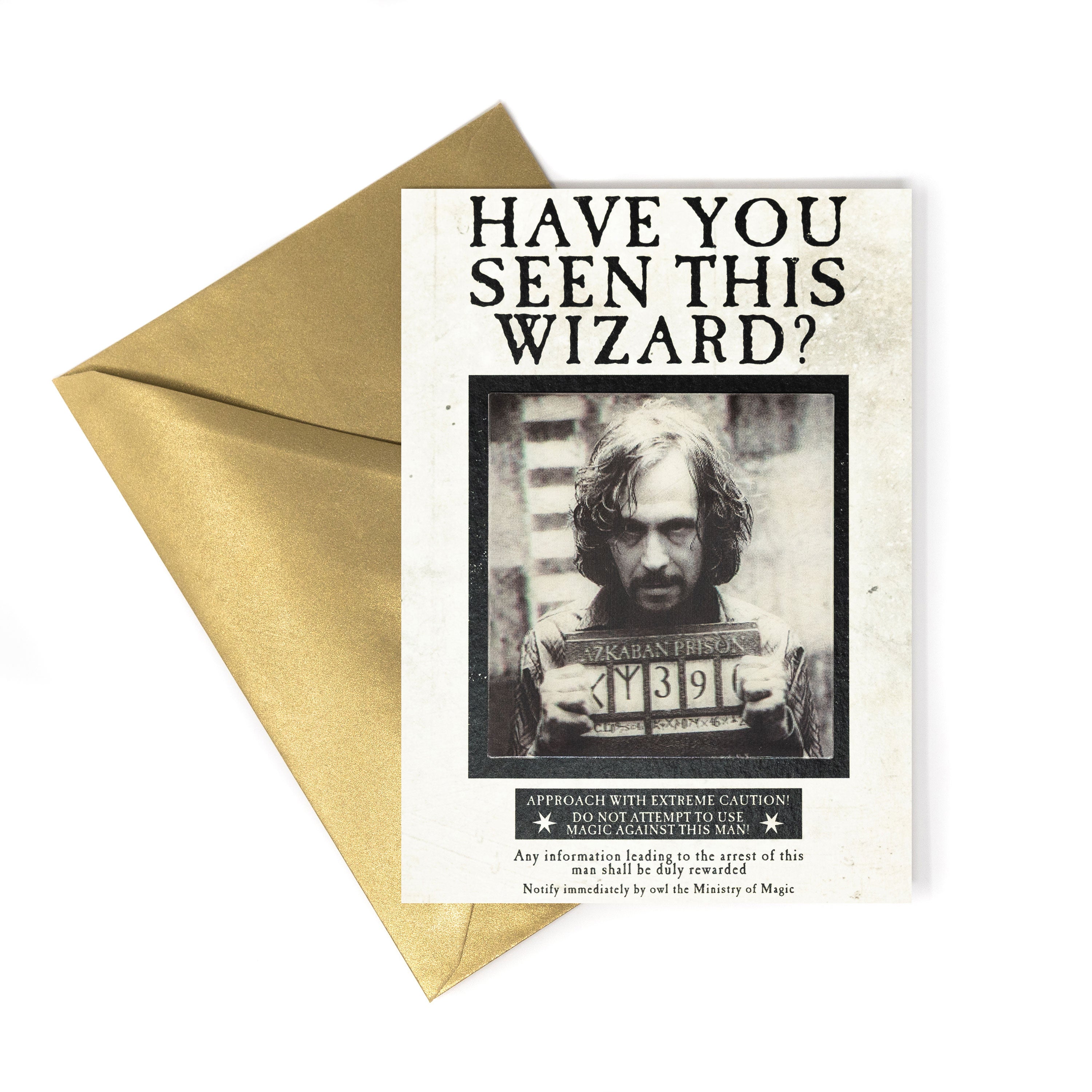 HPCARD16 - MINISTRY OF MAGIC: 'HAVE YOU SEEN THIS WIZARD?' - NOTECARD