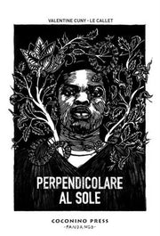 PERPENDICOLARE AL SOLE