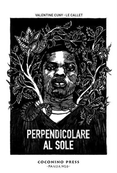 PERPENDICOLARE AL SOLE