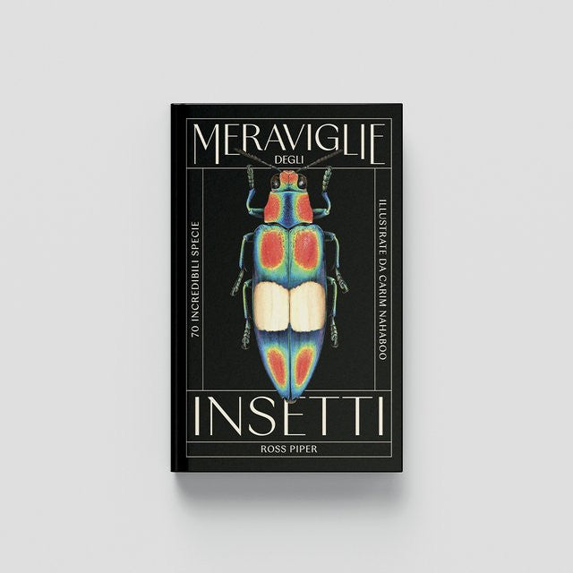 MERAVIGLIE DEGLI INSETTI