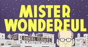 MISTER WONDERFUL