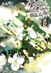 DANMACHI NOVEL 13 - IS IT WRONG TO PICK UP GIRLS IN A DUNGEON?