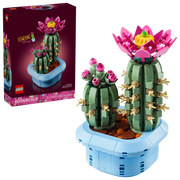 11509 - BOTANICALS - CACTUS IN FIORE