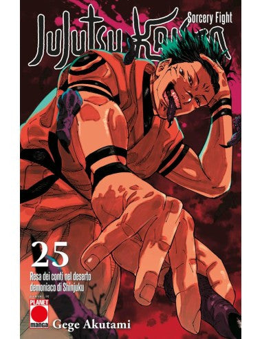JUJUTSU KAISEN - SORCERY FIGHT 25