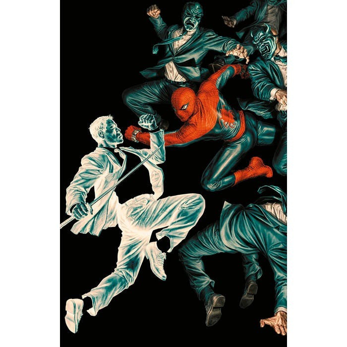 AMAZING SPIDER-MAN 20 - SPIDER-MAN 899 - VARIANT AMAZING VISIONS DI LEE BERMEJO 18