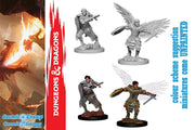 64596 - D&D NOLZUR'S MUM AASIMAR MALE FIGHTER