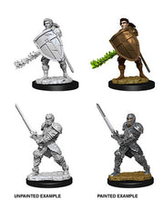 96635 - D&D NOLZUR'S MUM MALE HUMAN FIGHTER