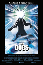 STRAY DOGS - CANI RANDAGI - VARIANT LA COSA